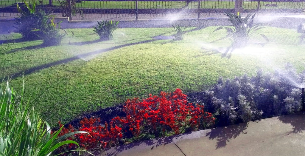 irrigacao (1)